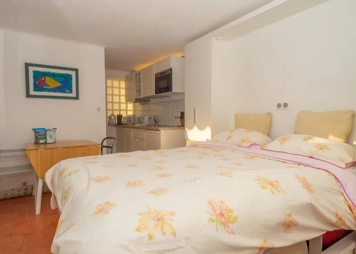 Renove Avec Terrasse, Climatisation Et Wifi Gratuit - Fr-1-196-166 * Menton